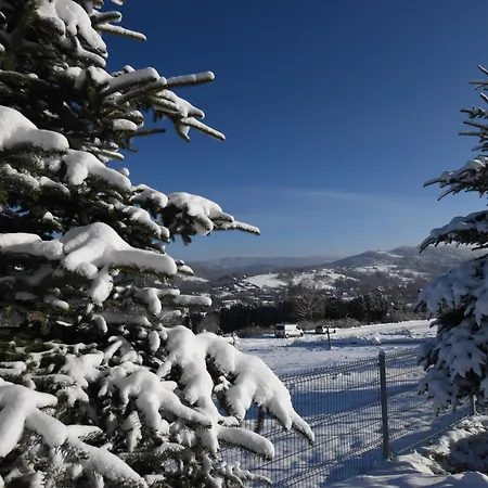 Stok & Sauna Apartment *