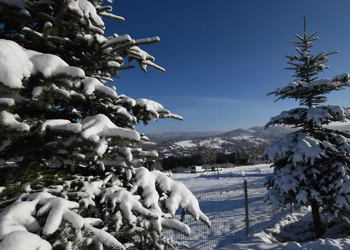 Stok & Sauna Lägenhet *